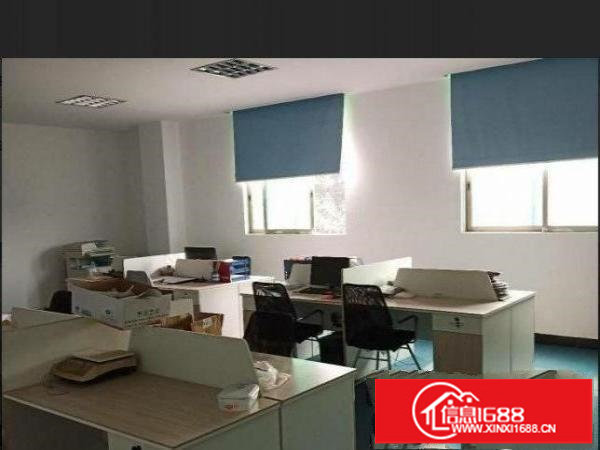 坪山碧岭村标准独院分租一楼小面积厂房300平方，现成装修