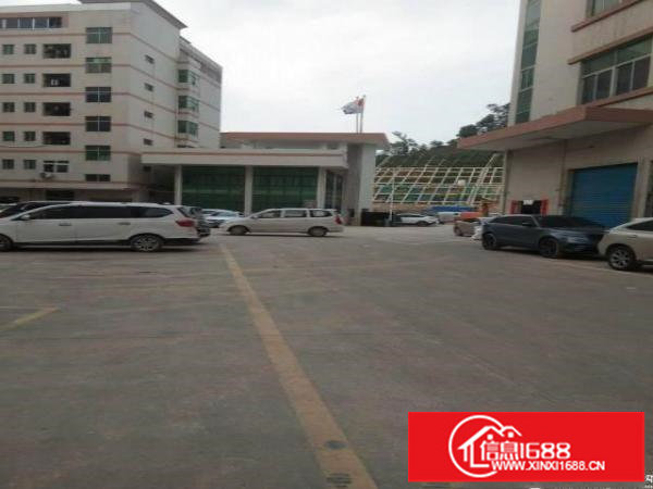 横岗带装修一楼厂房1000平方，可分租500平方