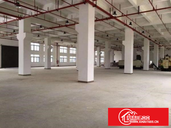 东莞市桥头原房东新建双证厂房出租