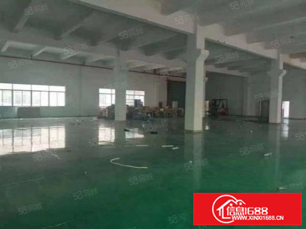 清新带牛角6.5米高标准一楼1000平出租带地坪漆空地大