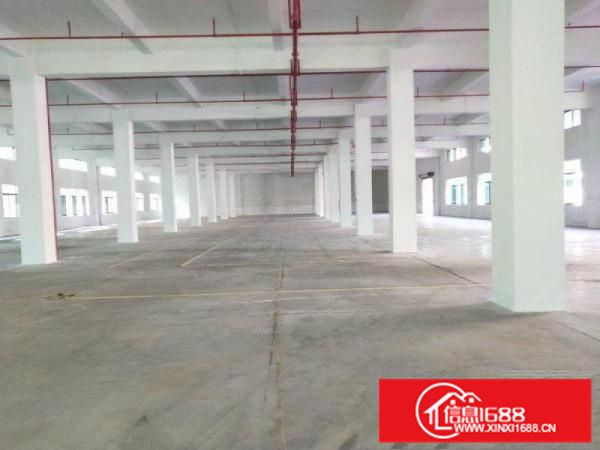 惠城水口多种类型厂房面积按需出租！！！