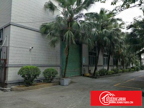 塘厦田心新出标准二楼厂房1350平方超大空地交通便