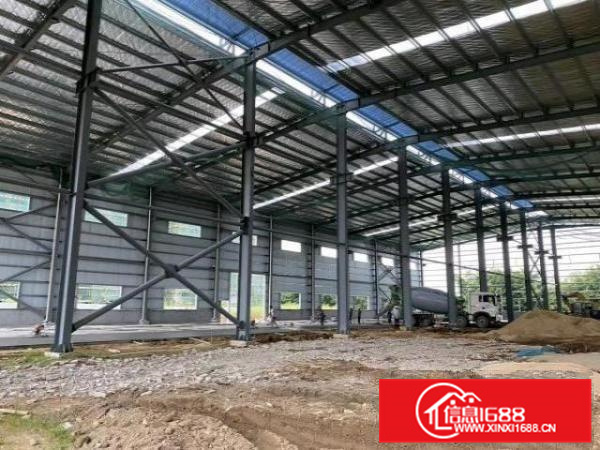 云东海，全新厂房出租。