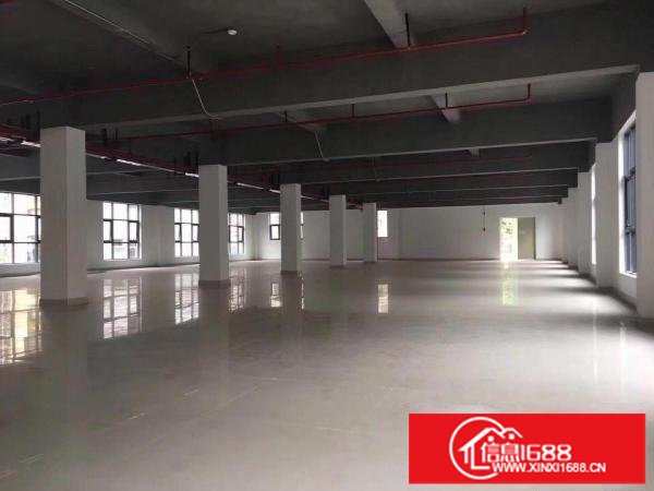 坂田十号线双地铁口电商园630平厂房招租，拎包入住