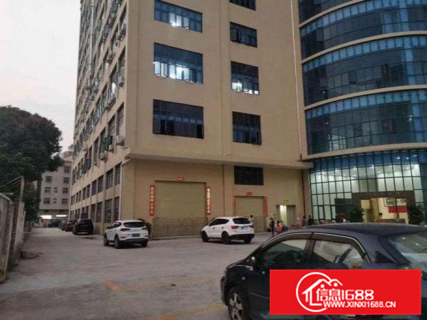 大岭山镇新出标准一楼带牛角厂房1000平方低价急出租