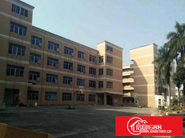 坪山石井新出原房东独院厂房6400平出租