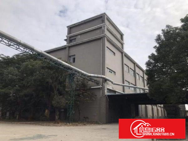 大岭山镇石大路边原房东独门独院厂房出租空地超大可办环评。