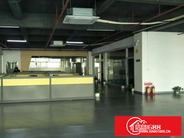 红本精装无转让费5楼1300平！！