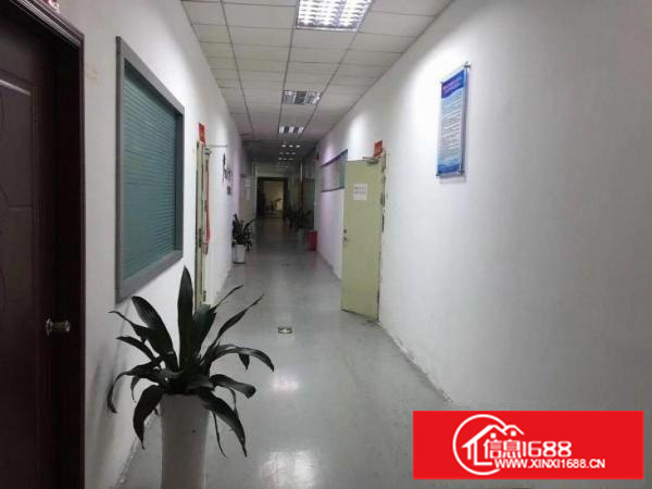 坂田都城跨境电商中心，50至4000平，可办租凭！