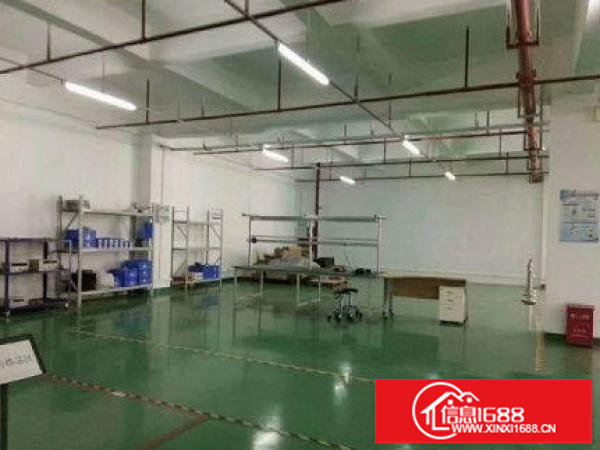 新出楼上500平带装修厂房出租面积实在公摊小