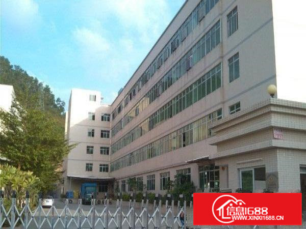 东坑独院厂房租客分租2楼420平方带喷淋消防出租