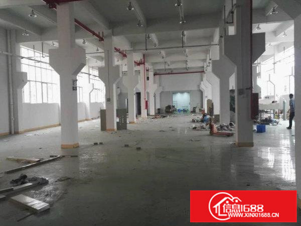 凤岗新厂房单层面积2600平方，可分租