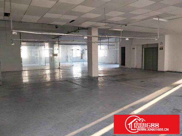 龙岗地铁口原房东红本厂房出租2000平带装修空地大可分租