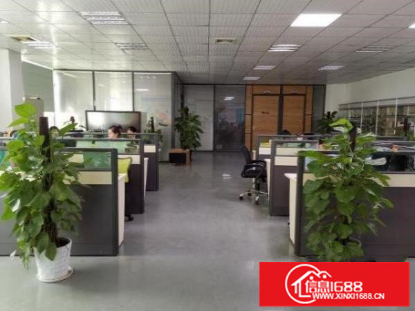 龙岗吉祥地铁口精装办公室共享合租适合办公电商等行业