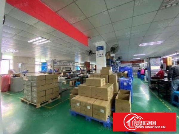 塘厦莲湖市场中心2楼550平吊顶装修厂房出租，方方正正