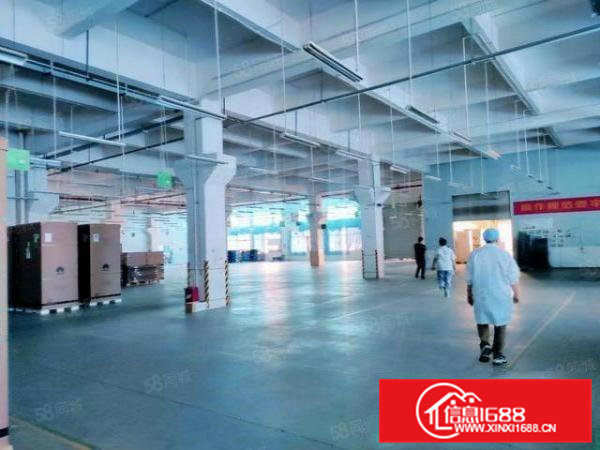 可分租，花园式独院厂房出租一楼高度6.5米，单层5800平方