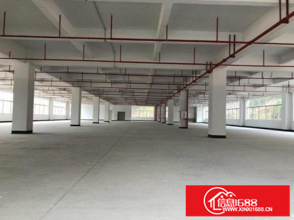 惠阳三和经济开发区原房东红本厂房一楼3600平出租