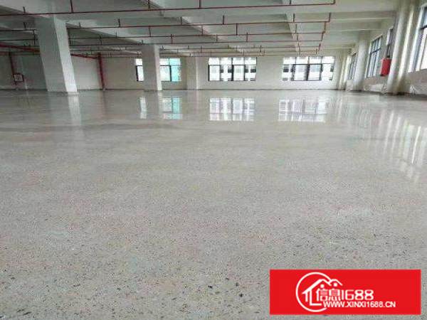 惠阳镇隆高速出全新工业园50000平米带房产证招租