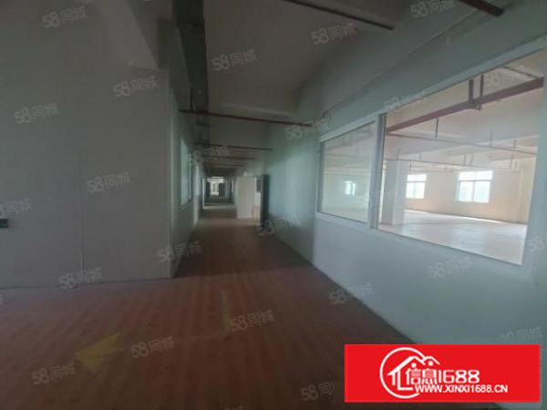 寮步原房东零公摊13000平方标准独院厂房