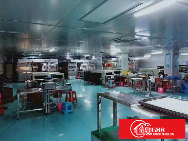 精装修，无尘车间出租，现成办公室水电，绿色地坪漆，拎包入住