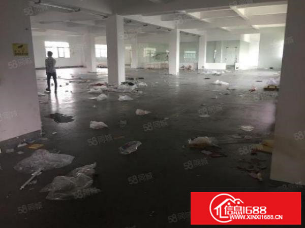 杨美路，新出原房东2000平，零公摊，可以分，租金26