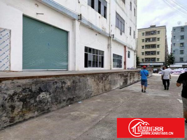 观澜大道边原房东独门独院，一楼层高6米空地一万可分租