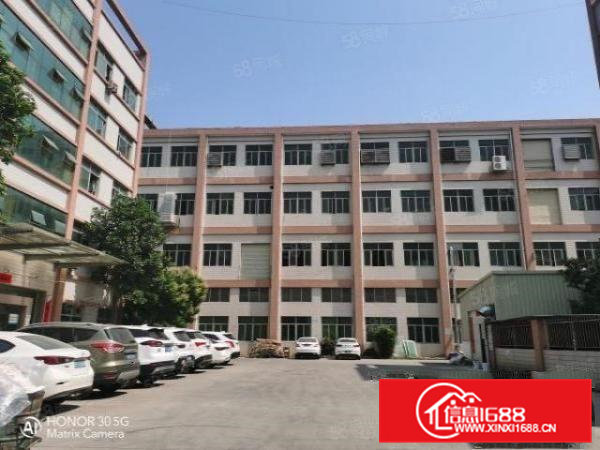 凤岗金凤凰原房东一楼700平出租