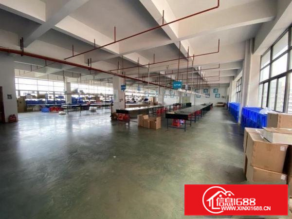 金凤凰精装修1650平，电子行业拎包生产。