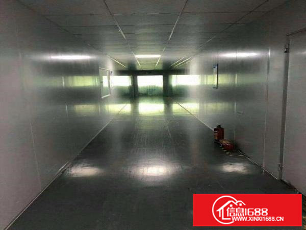 大岭山新出无尘车间口罩行业看过来