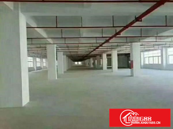 原房东标准独院，配2部电梯，大马路边，好招工