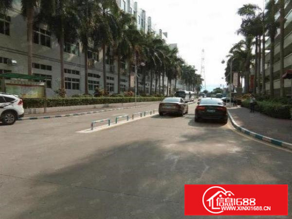 清溪九乡原房东新出460平精装修厂房出租