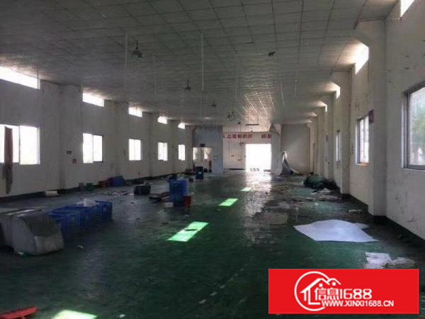 仲恺独院标准厂房15200出租800平方起分租