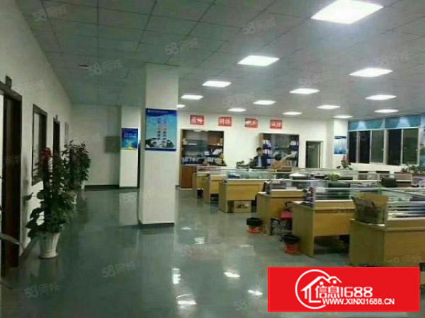 凤岗金凤凰工业区1000平方原房东出租带精装修办公室