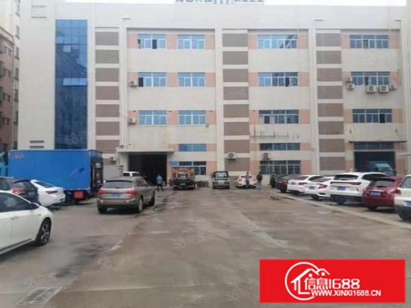 大岭山向东无尘车间二楼1000平方精装修标准厂房出租