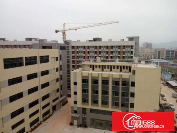 惠州惠阳秋长主干道边钢构滴水8米3000平厂房招租