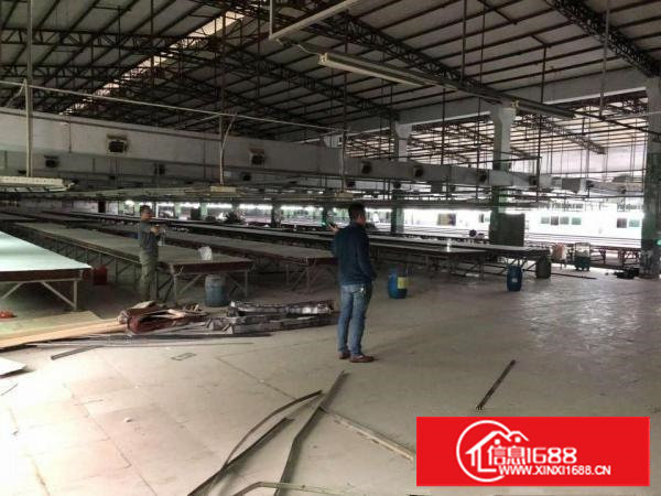 塘厦原房东花园式砖墙钢构独院实际面积出租