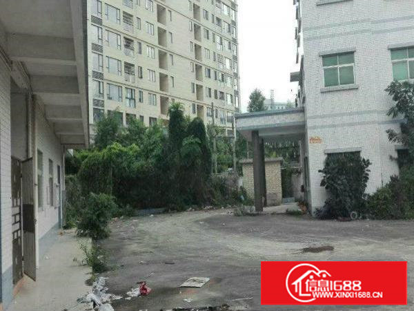 塘厦花园式靓丽独院12000平方环境好精装修