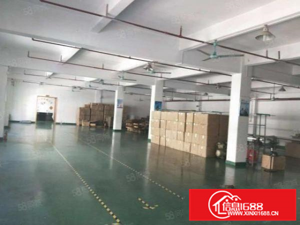 茶山新出原房东独院厂房分租三楼1350平方带地坪漆