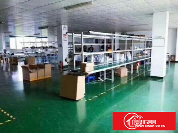 西乡洲石路旁厂房1800平米