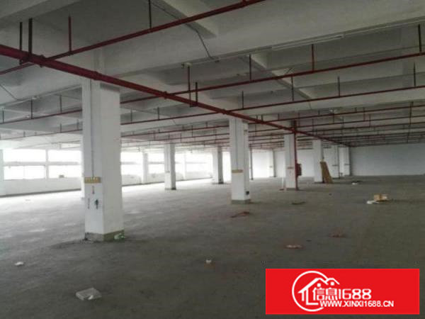 急租坪山碧岭1楼1088平高5米急租23