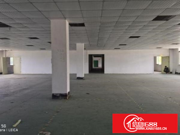 坪山区碧岭带吊顶装修1590平红本厂房出租
