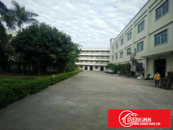 坪山坑梓厂房招租1200平，实际面积出租报价15块