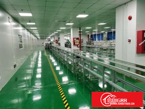 凤岗雁田工业区厂房仓库招租5万平方200平方起租现在无尘车间