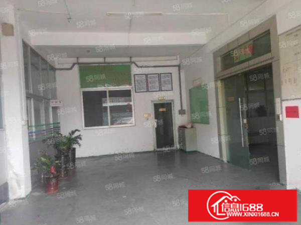 松岗楼岗社区小面积一楼300平方厂房仓库出租