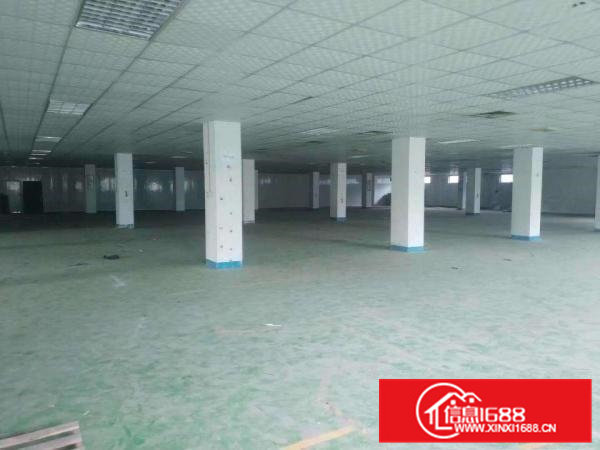 清溪大利花园式独院厂房分租二楼1700平现成装修水电齐全