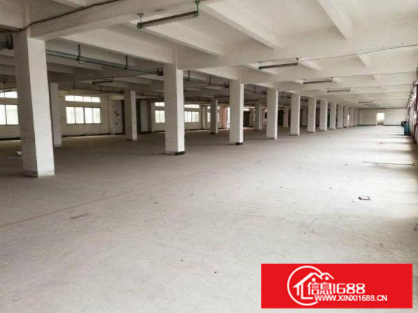 新出九九工业区一楼精装修1400平