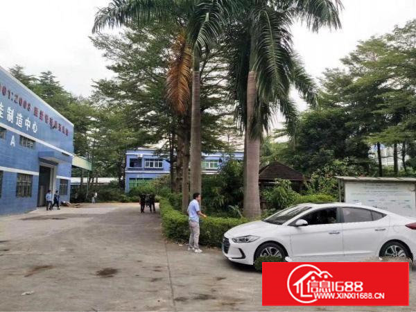 沙湖新出独院2600平米出租原房东