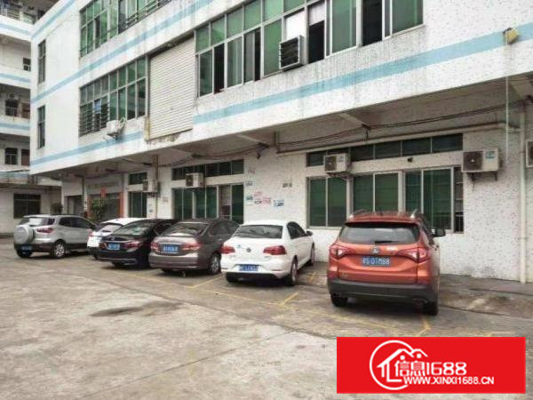 出租清溪青皇新出现成装修一楼500平方