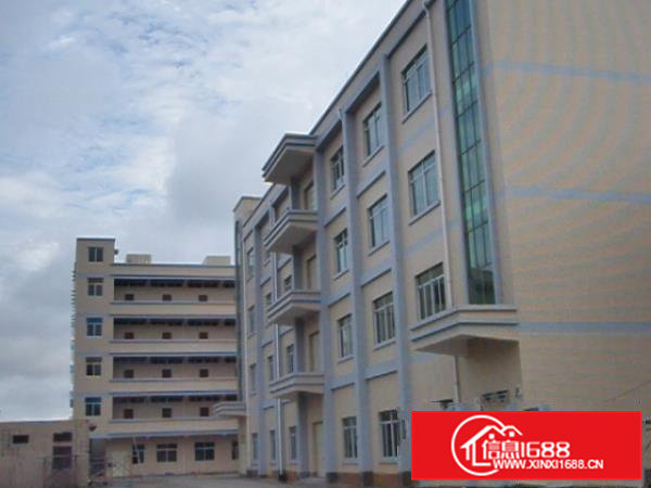 石排新出超靓标准独门独院5000平方厂房出租