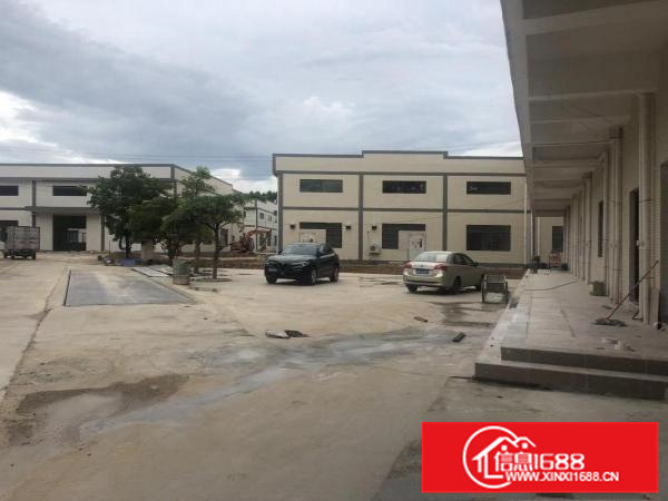 惠东白花全新滴水8.5米钢构16600平米不挑行业大小分租